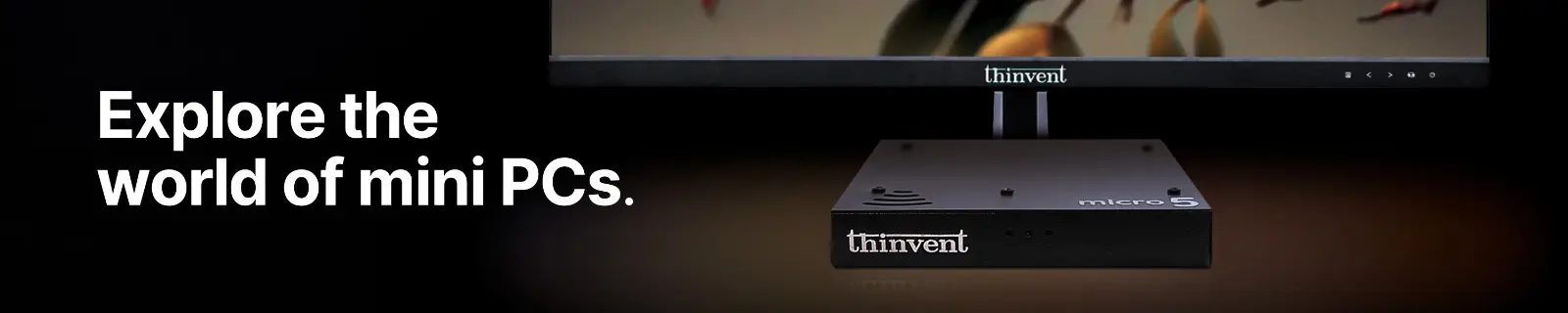 Thin Client
